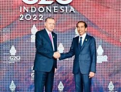 Erdogan Terpilih Kembali Jadi Presiden Turki, Jokowi: Selamat Saudaraku