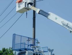 Tingkatkan Keandalan, PLN Pasang Pelindung Jaringan dan Lakukan Tebang Tuntas