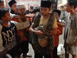 Ular Sanca Sepanjang 5 Meter Masuk ke Atap Rumah Warga di Cicadas