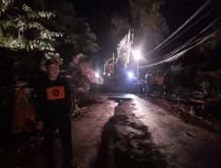 BPBD dan Dinas Damkar Kota Bogor Evakuasi Pohon Tumbang di Kawasan Jalan Salak