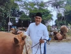 Rudy Susmanto Salurkan 32 Sapi Kurban dari Prabowo untuk Warga Kabupaten Bogor, Sampaikan Pesan Ini