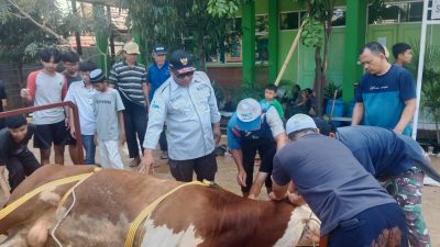 Sambut Idul Adha, LDII Kecamatan Gunung Putri Potong 15 Sapi dan 40 Kambing Kurban