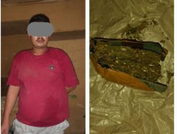 Polsek Parung Panjang Amankan Seorang Pengedar Ganja