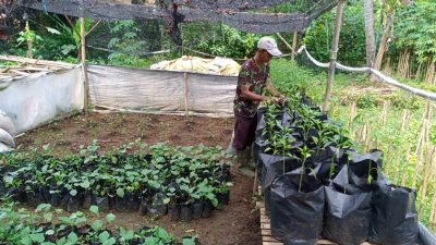 Kereeen! Warga Desa Cibanteng Ciampea Ubah Lahan kosong Jadi Produktif