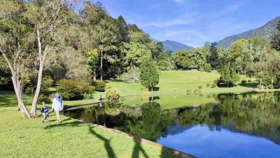 Kualitas Udara Ibu Kota Sedang Tidak Baik-baik Saja, Healing ke Kebun Raya Bogor Jadi Solusi