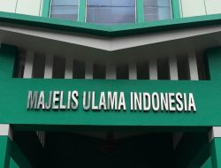 Inilah 15 Rekomendasi MUI Tanggapi Kasus Rempang, Diharapkan Jadi Rujukan