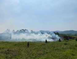 Lahan Gambut di Leuwisadeng Terbakar, 2 Unit Damkar Dikerahkan