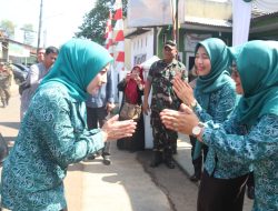 Halimatu Sadiyah Iwan turun Langsung Recheking 10 pokok program PKK Desa Citayam Tajurhalang
