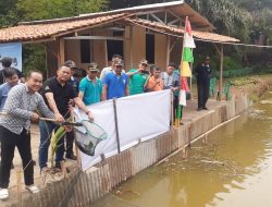 Dukung Ketahanan Pangan, Pemdes Kemang Budidaya Ikan Nila dan Gurame