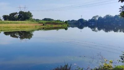 Setu Bisa Jadi Potensi BUMDes, Namun Belum Dimanfaatkan Optimal Oleh Desa
