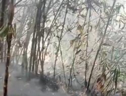 1 Hektare Lahan Bambu di Cibodas Rumpin Terbakar, Damkar Leuwiliang Kerahkan Sejumlah Personel