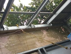 Akibat Angin Kencang, Sebabkan Pohon Tumbang di Berbagai Wilayah di Kota Bogor