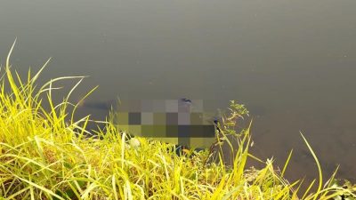 Diduga Terpeleset Saat Mancing di Danau Cisawang, Pria Asal Gunung Sindur Ditemukan Tewas
