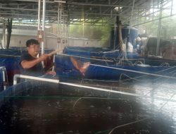 Kereeen, Desa Cimandala Miliki 10 Kolam Bioflok untuk Program Ketahanan Pangan