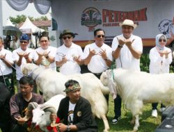 Ketua DPRD Rudy Susmanto Apresiasi Festival Ternak Domba Kambing dan Ketangkasan Domba Garut