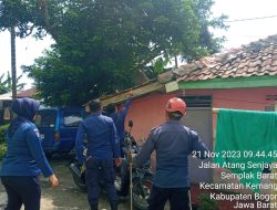 Kelaparan, Monyet Liar Masuk Permukiman Warga di Semplak Barat