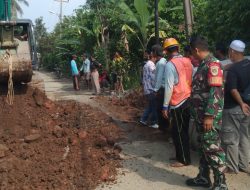 Perbaikan Gorong-gorong di Cariu Ganggu Aktivitas Warga, Babinsa Turun Tangan