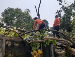 Kerugian Akibat Terjangan Angin Puting Beliung di Desa Pabuaran Kemang Capai Ratusan Juta, Kades Berharap Ada Bantuan