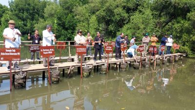 Menteri LHK bersama PWI Pusat Lakukan Penanaman Pohon Mangrove