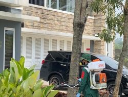 Kasus DBD di Kota Bogor Meningkat, Praktisi Hama Minta Masyarakat Turut Kendalikan dengan Langkah Ini