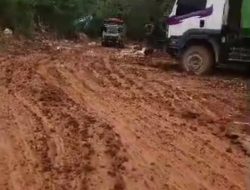 Jangankan Perhutani, Hujanpun Tak Bisa Hentikan Galian Ilegal di Pasirsaga Klapanunggal