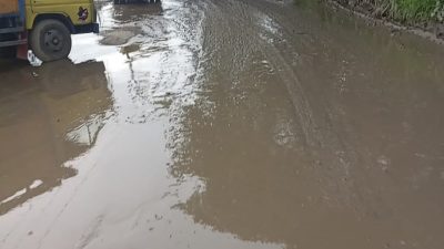 Aduh!! Jalan Cicangkal-Gunung Sindur Rusak Parah, Kata Warga Mirip Empang Lele