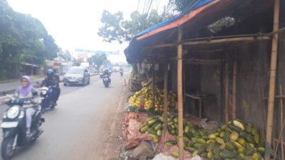 Masuk Ramadhan, Penjual Timun Suri di Jalan Raya Kemang Berburu Rezeki