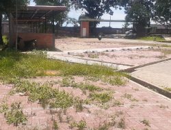 Alih-Alih Jadi Tempat Wisata, Kondisi Area Situ Kemang Bogor Senilai Rp 3,9 Miliar Malah Kumuh