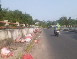 Aduh Jembatan Perbatasan Dua Kecamatan Ini Jadi TPS, UPT Kebersihan Kemana Yah