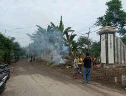 Tidak Diurus Pemkab Bogor, Warga Sukamulya Rumpin Bersihkan Jalan dan Tugu Perbatasan Wilayah