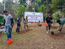 Momentum Hari Lingkungan Hidup, PPLI Ajak Manfaatkan Teknologi Ramah Lingkungan dan Lakukan Restorasi Lahan