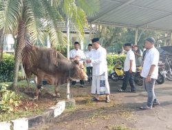 Idul Adha 1445 H, Pemkab Bogor Salurkan 95 Ekor Sapi dan Domba