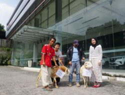 Dealer Mobil Honda Internusa Cibinong salurkan hewan kurban ke Warga Lingkungan sekitar