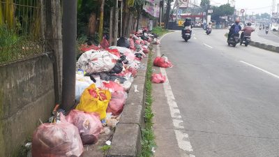 Agar Tidak Dijadikan Tempat Pembuangan Sampah Liar, Kades Jampang Minta Pemilik Manfaatkan Lahannya