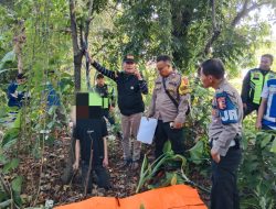 Mayat Pria Tanpa Identitas Ditemukan Tergantug di Pohon Pinggir Jalan Tol Jagorawi, Polisi: Tidak Ditemukan Luka
