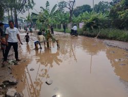 Kesal Tak Kunjung Diperbaiki, Warga Cikeas Kembali Gelar Aksi Demo Tanam Pohon Pisang dan Lele di Jalan Cikeas-Bojong Nangka