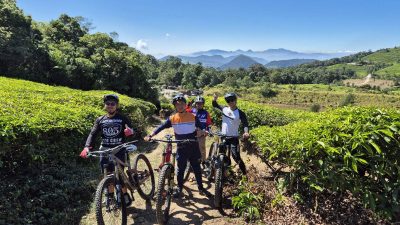 Gordun Kembali Gobar ke Trek Puncak Sunan Ibu Ciwidey