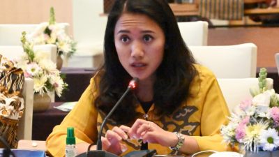 Puteri Komarudin Desak OJK Segera Bertindak Terkait Maraknya Penyalahgunaan Data Pribadi