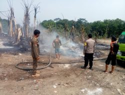 Gegara Puntung Roko, Tempat Limbah Busa di Rumpin Ludes Dilalap Api