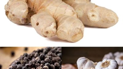 Luar Biasa! 5 Bumbu Dapur Ini Ternyata Bisa Sembuhkan Penyakit