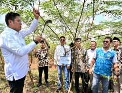 Kembangkan Bahan ‘Co-Firing’ Biomassa, PLN Bersama Kementan Luncurkan Model Pertanian Terpadu