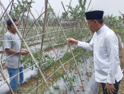 Paslon Rudy Susmanto-Jaro Ade Dukung Program Ketahanan Pangan untuk Sejahterakan Petani