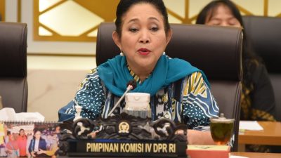 Tanggapi Rencana Pemerintah Impor Beras 1 Juta Ton dari India, Titiek Soeharto: Tidak Masalah Selama Terukur dan Tidak Saat Panen