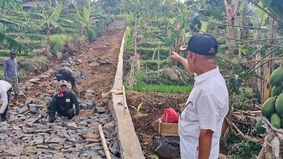 Ringankan Ongkos Angkut Hasil Panen, Pemdes Wargajaya Buka dan Bangun Jalan di Tengah Pesawahan