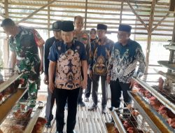 Program Ketahanan Pangan Ayam Petelur Pemdes Pondok Udik jadi Percontohan Desa Lain