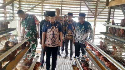 Program Ketahanan Pangan Ayam Petelur Pemdes Pondok Udik jadi Percontohan Desa Lain