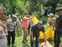 Mayat Tanpa Identitas Ditemukan di Semak-semak Pamijahan Bogor, Ada Luka Sobek di Kepala