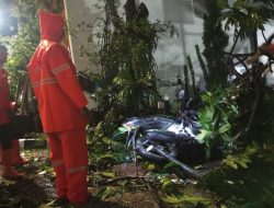 Motor Wartawan Tertimpa Pohon Sukun di Area Kantor DPRD Kabupaten Bogor, Kerugian Tembus Jutaan Rupiah