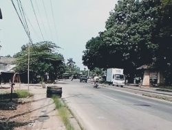 Cuaca Ekstrem, Warga Minta Pohon Tua di Jalan Kemang-Parung Dipangkas