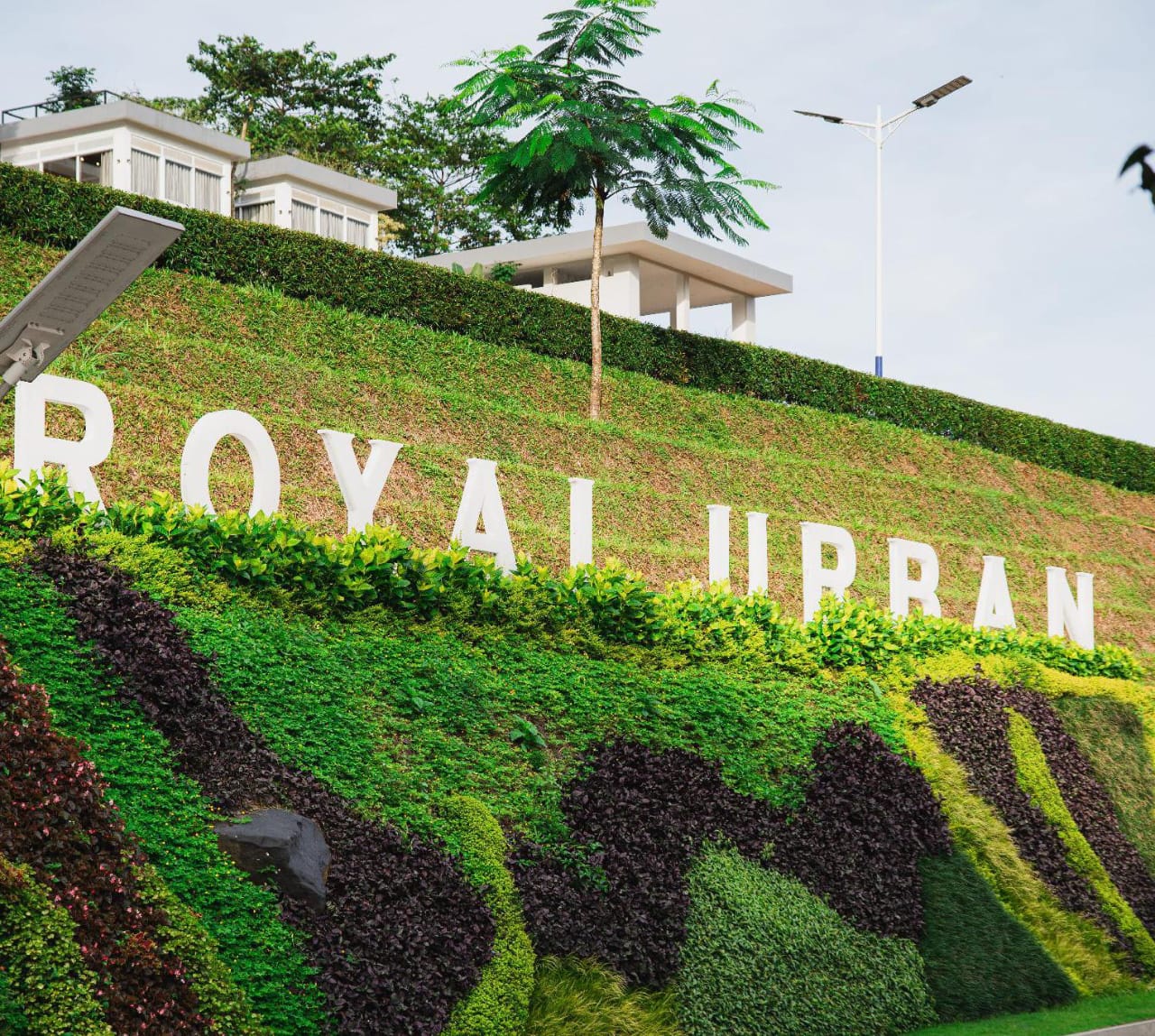 Pembangunan Royal Urban Resort di Pancawati Diduga Tak Kantongi Izin, Ini Kata Kadis DPKPP Kabupaten Bogor